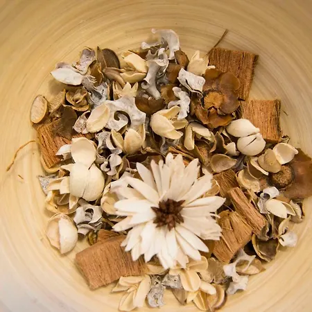 Casa Nuvola Alle Cinque Terre Διαμέρισμα